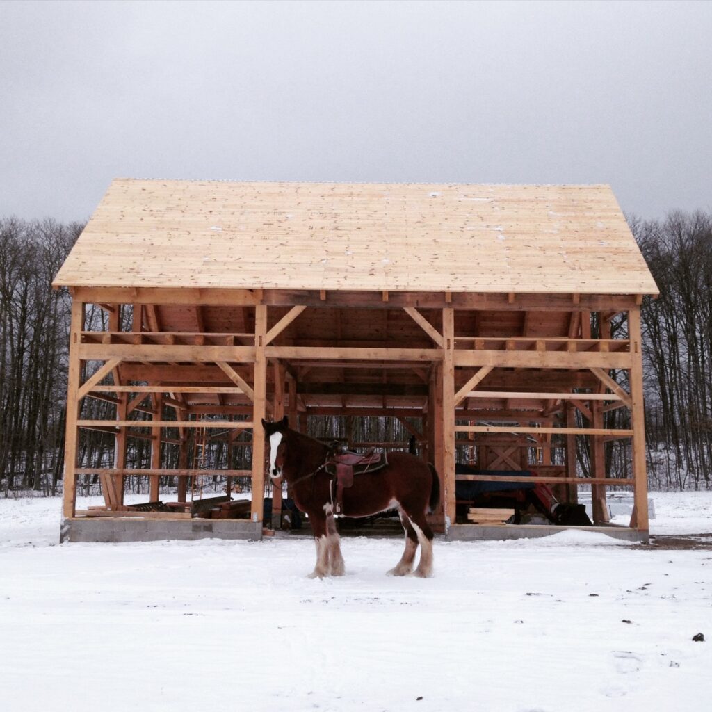 Broken-Back-Saltbox-36×36-in-MI-403D-Horse-Barn-Frame