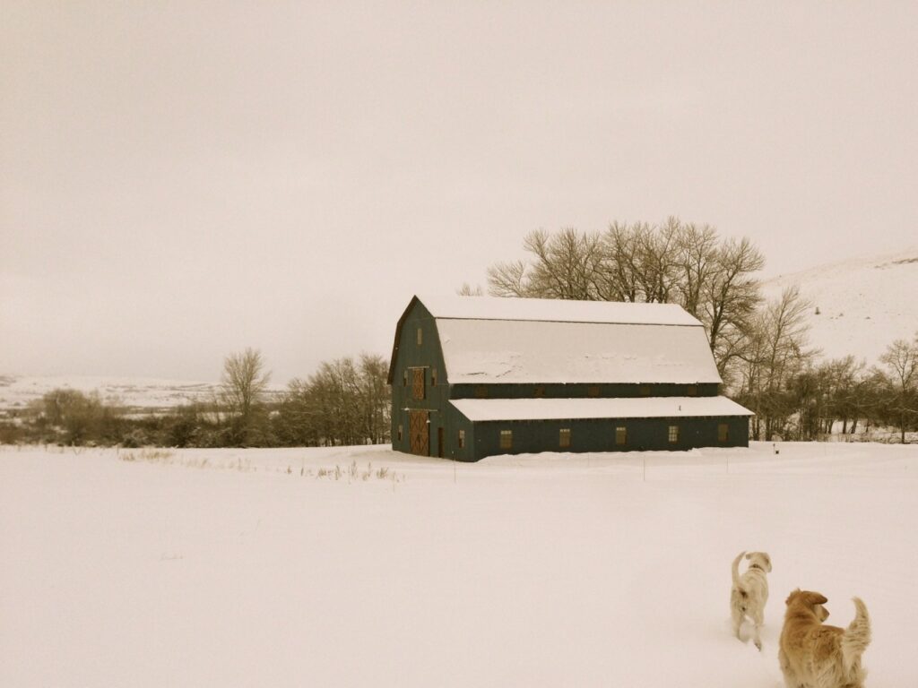 Gambrel-38×56-in-MT-205D-Lean-To-Agricultural-Farm